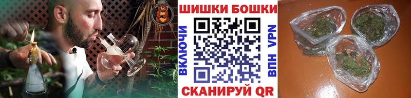 Купить наркоту Пудож СК  Гашиш  Галлюциногенные грибы  Каннабис 