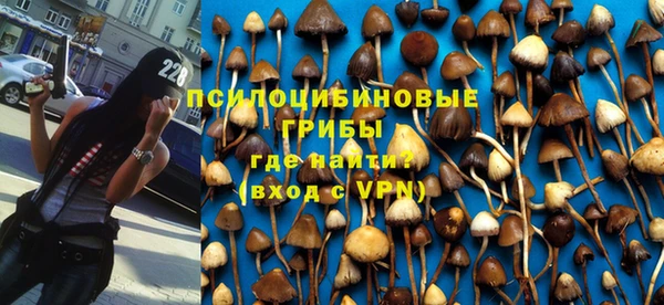 гидропоника Осташков