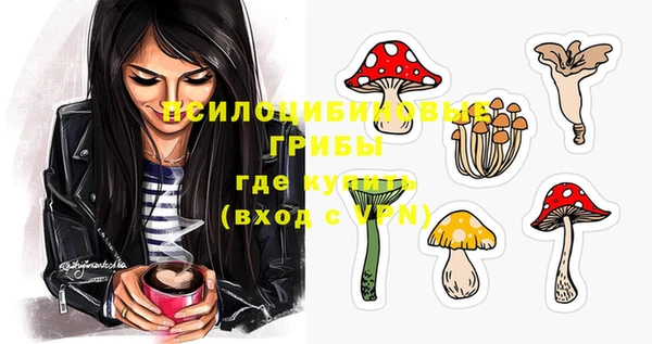 шишки Абинск